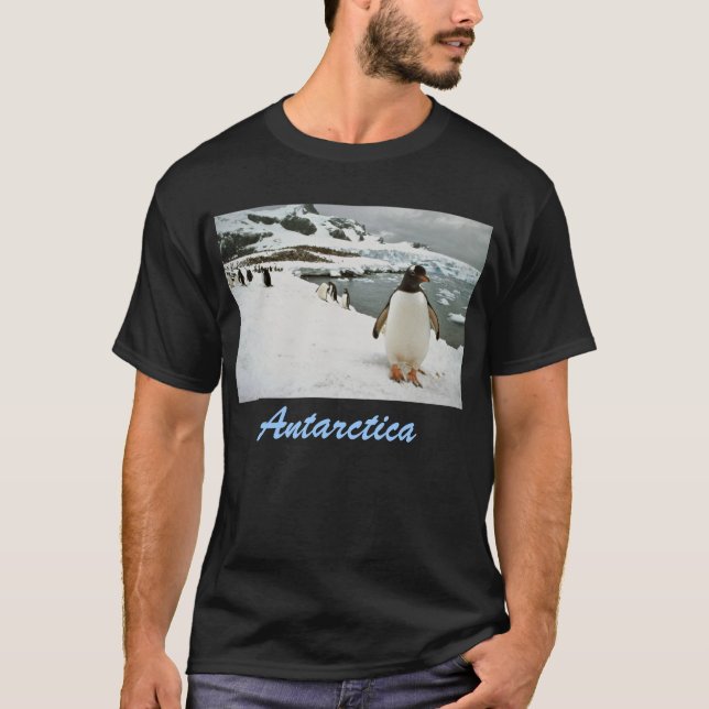 Camiseta de la Antártida (Anverso)