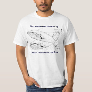 Camiseta de la ballena azul