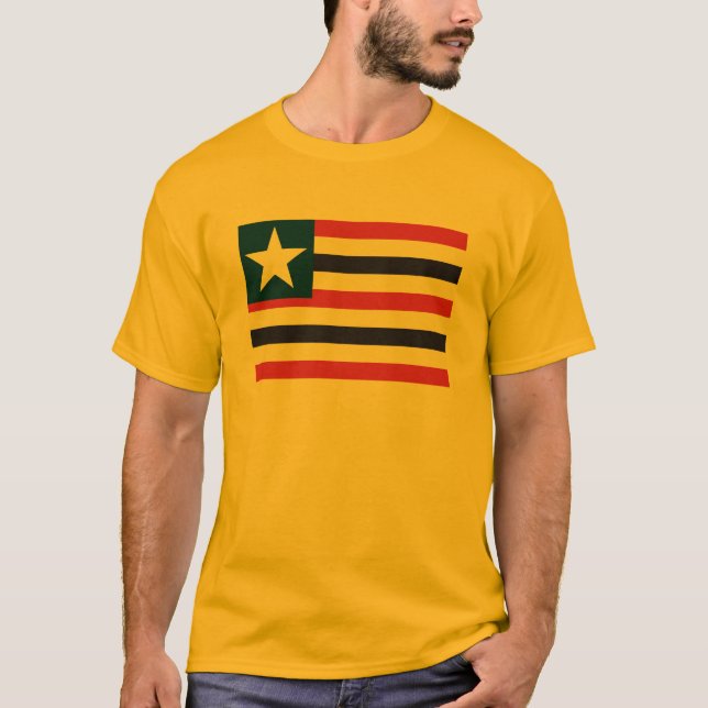 Camiseta de la bandera de Maranhao (Anverso)