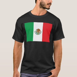 Camiseta de la bandera de México