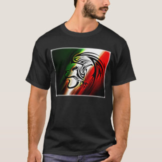 Camiseta de la bandera de México