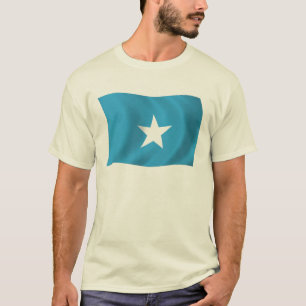 Camiseta de la bandera de Somalia