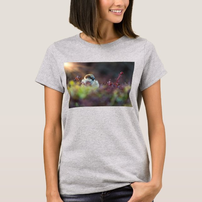 Camiseta De La Finca Del Baño Del Sol (Anverso)