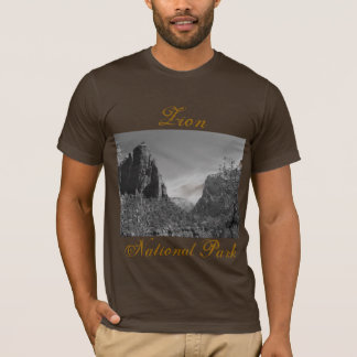 Camiseta de la foto de Zion