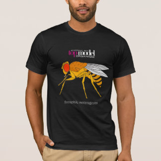 Camiseta de la mosca de la fruta