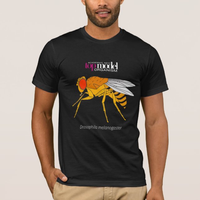 Camiseta de la mosca de la fruta (Anverso)