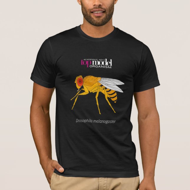 Camiseta de la mosca de la fruta (Anverso)