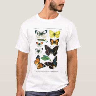 Camiseta de la Placa II de las mariposas europeas