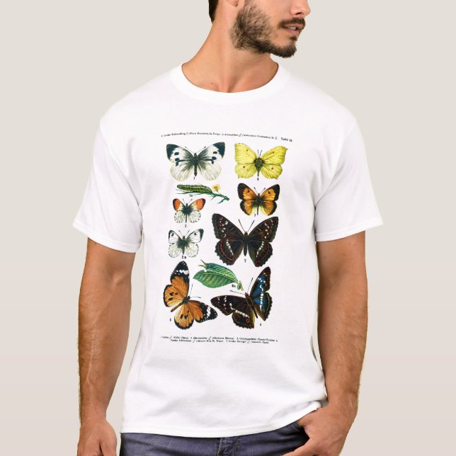 Camiseta de la Placa II de las mariposas europeas (Anverso)