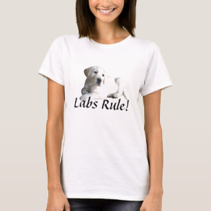 Camiseta de la regla del labrador retriever