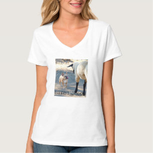 Camiseta de la tajada de cordero