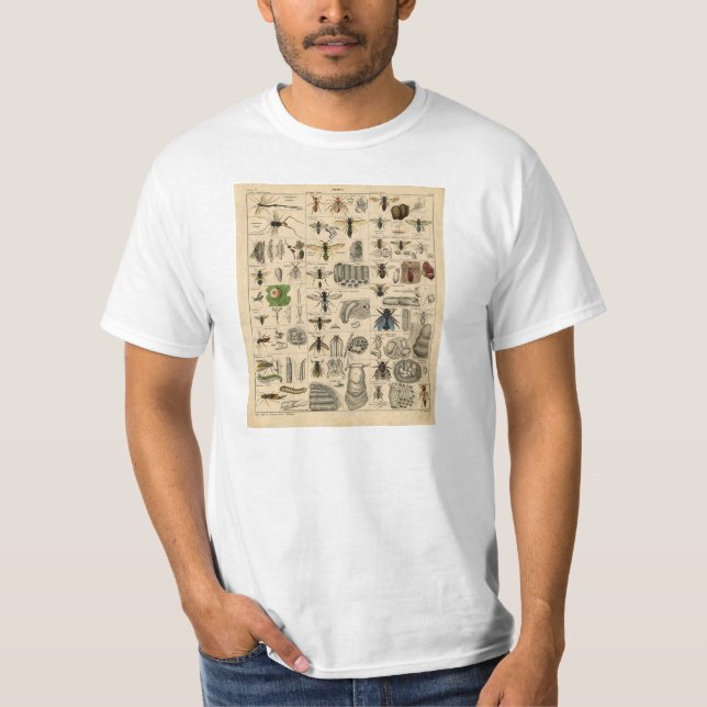 Camiseta de la taxonomía de la entomología de los (Anverso)