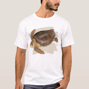 Camiseta de la tortuga de mar del necio