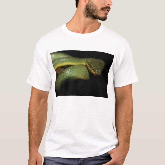 Camiseta de la víbora de hoyo (Anverso)