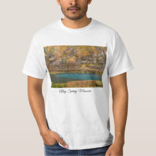 Camiseta de la vista de primavera del callejón