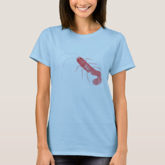 Camiseta de las damas de Prawn