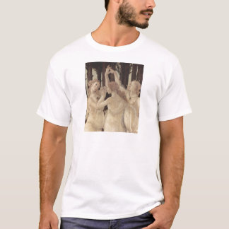Camiseta de las tolerancias de Botticelli tres