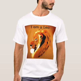 Camiseta de Leo