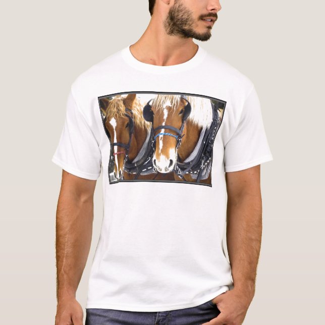 Camiseta de los caballos de proyecto de Clydesdale (Anverso)
