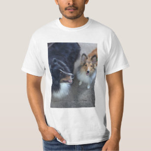Camiseta de los compinches de Sheltie