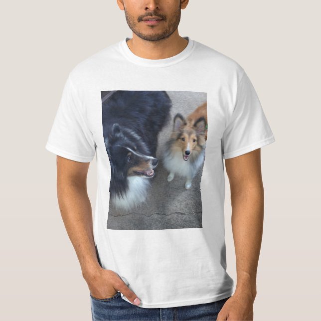 Camiseta de los compinches de Sheltie (Anverso)