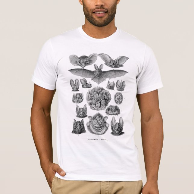 Camiseta de los palos de Haeckel (Anverso)