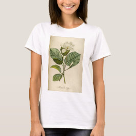 Camiseta de Magnolia blanca de las mujeres