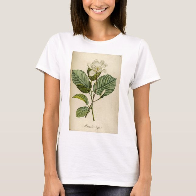 Camiseta de Magnolia blanca de las mujeres (Anverso)