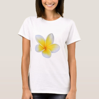 Camiseta de manga corta casual para mujer de Cicy 