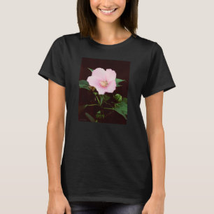 Camiseta de manga larga para Rosa Mallow Ladies