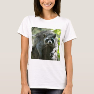 Camiseta de Mapache