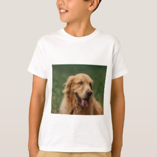 camiseta de mascota