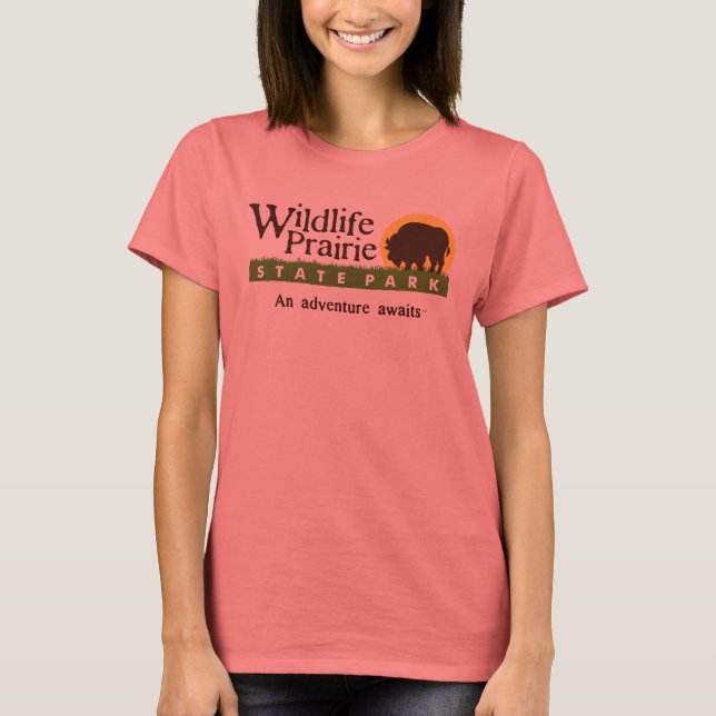 Camiseta de Melange Ringer para WPSP Ladies