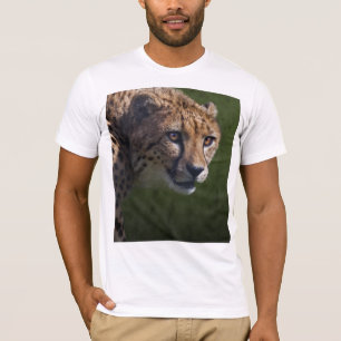 Camiseta de mirada de guepardo