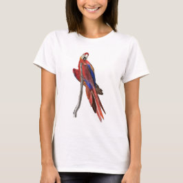 Camiseta de mujer con diseño de guacamayo escarlat
