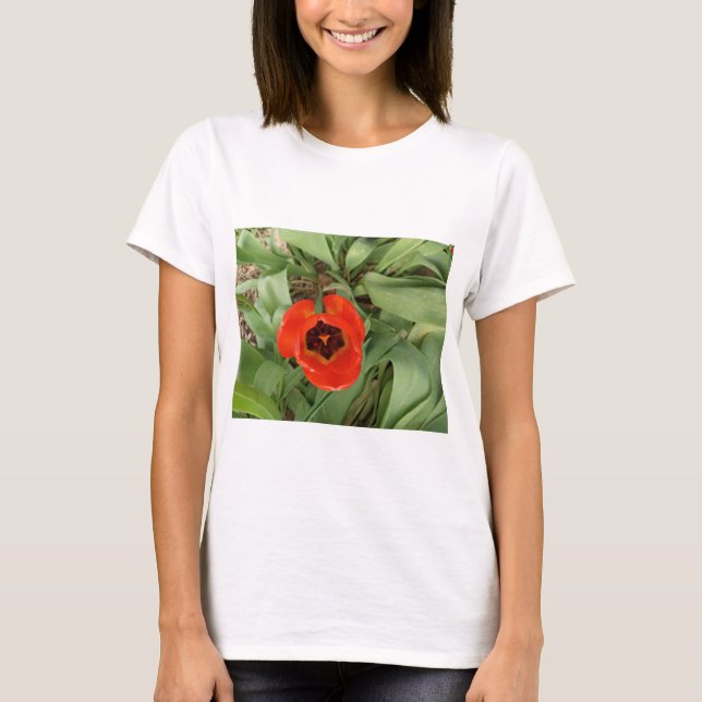 Camiseta de mujer Tulipán Rojo (Anverso)