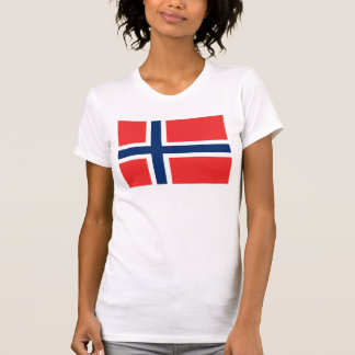 Camiseta de Noruega