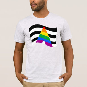 Camiseta de Orgullo Aliado