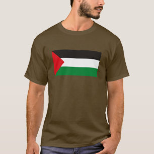 Camiseta de Palestina