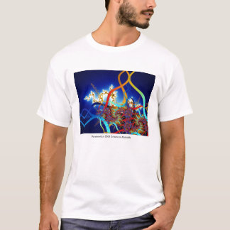 Camiseta de Paramoosium