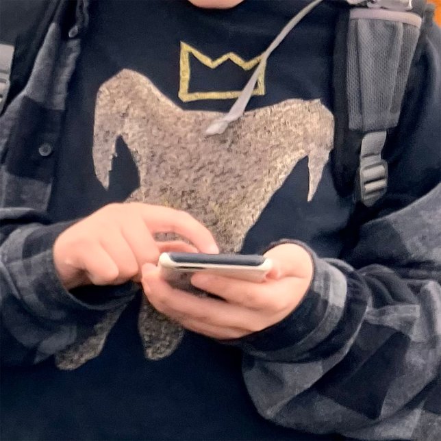 Camiseta de perro (Subido por el creador)