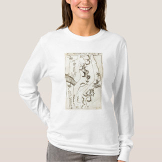 Camiseta De Philadelphia a Md 61 de Annapolis