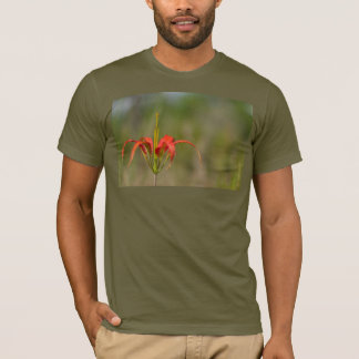 Camiseta de Pine Lily