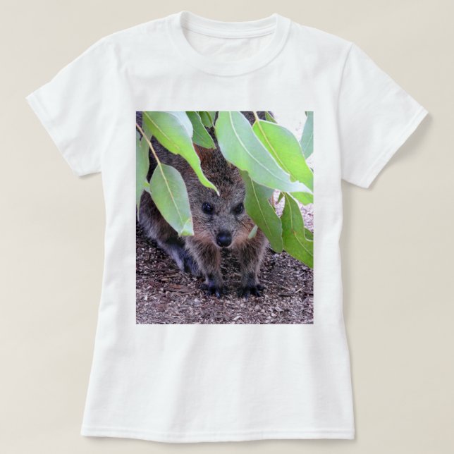 Camiseta de Quokka (Diseño del anverso)