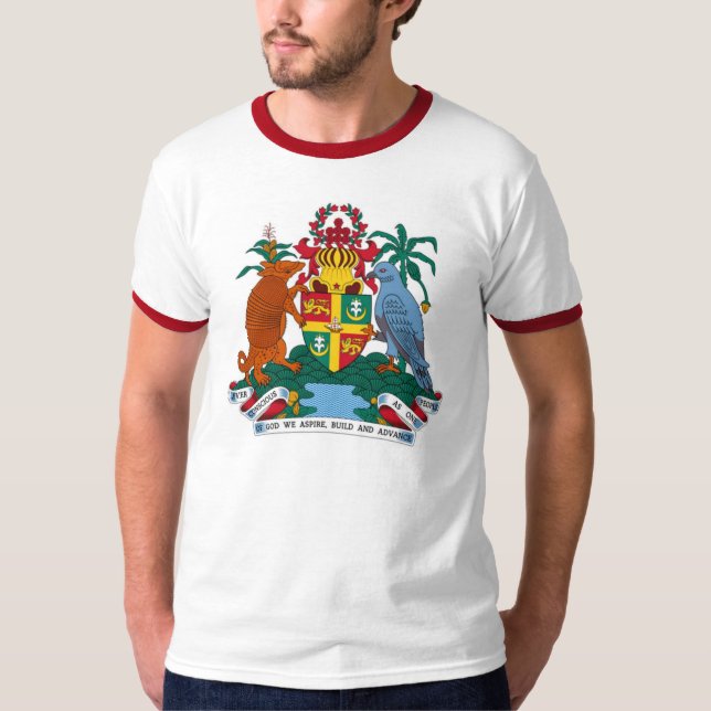 Camiseta de símbolo nacional (Anverso)