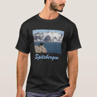 Camiseta de Spitsbergen