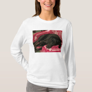 Camiseta de sudadera con capucha de perro dormido