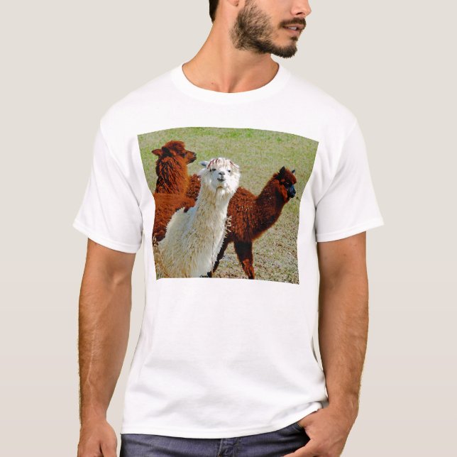 Camiseta de tres llamas (Anverso)