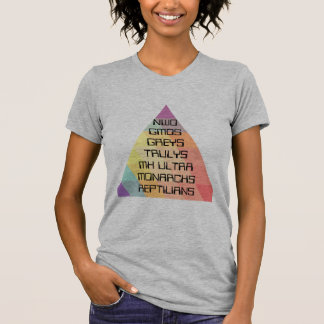 Camiseta de ultra conspiración de MK de NWO