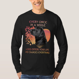 Camiseta De Vez En Cuando Un Labrador Negro Te Entra